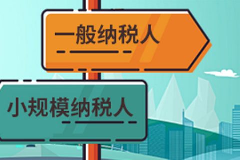 拉薩一般納稅人做賬報稅代理費(fèi)用為什么高于小規(guī)模納稅人？
