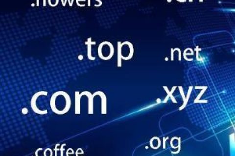 拉薩網(wǎng)站建設(shè)常見問題之什么是域名？如何購買和選購域名？