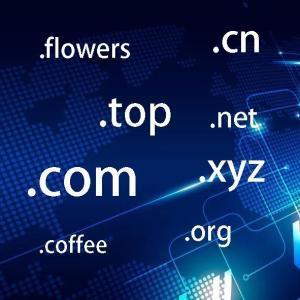拉薩網(wǎng)站建設(shè)常見問題之什么是域名？如何購(gòu)買和選購(gòu)域名？