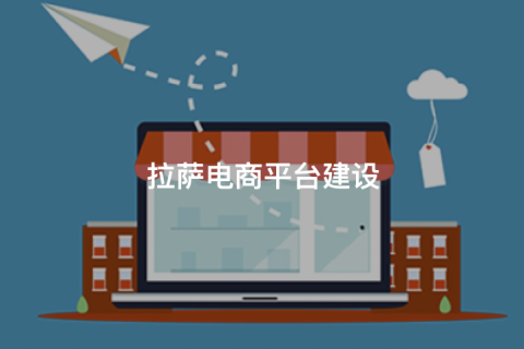 拉薩商城開(kāi)發(fā)怎么做？主流拉薩商城網(wǎng)站搭建方式對(duì)比